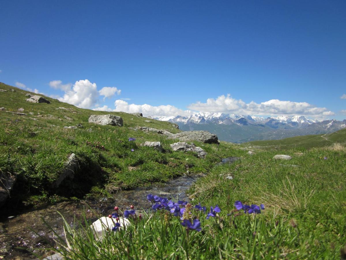 Grande Marmotte, Ski Aux Pieds, Le Refuge Du Montagnard, Arc 1950 Бур-Сен-Морис Екстер'єр фото